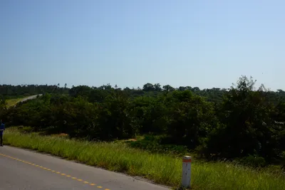 DSC_8306 (Large).JPG